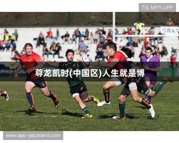 尊龙凯人生就是赢：探索成功背后的坚持与智慧，成就非凡人生的秘诀